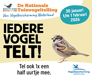 Vogeltelling NL